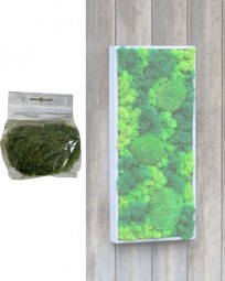 W Deko Finnlandmoos dunkelgrün im Beutel