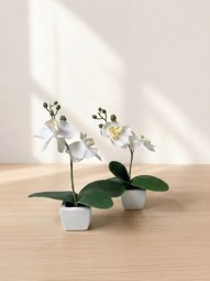 Deko Pflanze Orchidee im Display