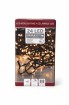W Lichterkette 24 LED mit Timer, 8 Funktionen, innen/außen, batterieb.
