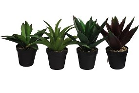 Deko Pflanze Aloe Vera 4 versch. Modelle
