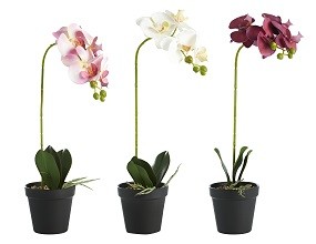 Deko Pflanze Orchidee 3 versch. Modelle