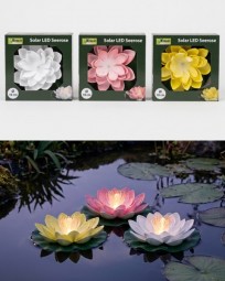 Solar Seerose 18 cm in 3 Farben